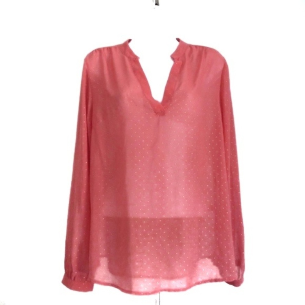 ⭐️ 5/$25 a.n.a. large dark blush semi-sheer top